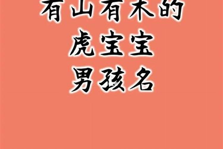 属虎的起什么名字比较好男孩子两个字