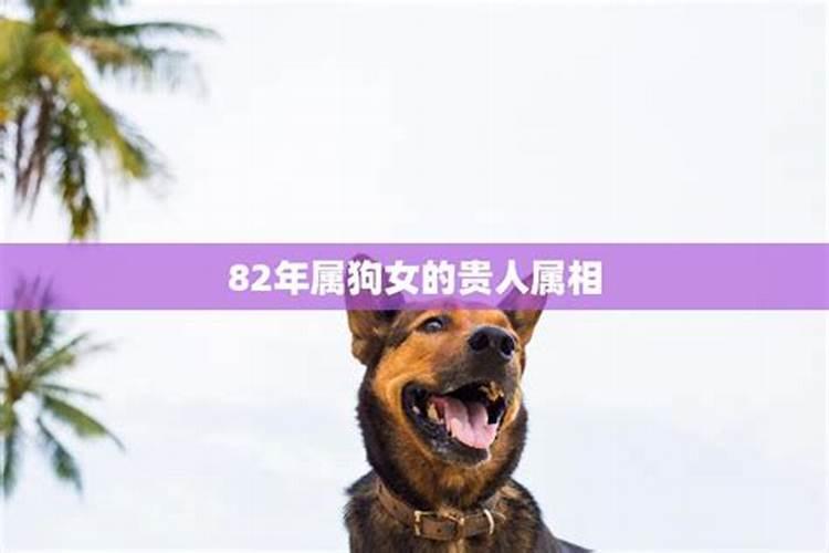 什么属相是属狗的贵人呢