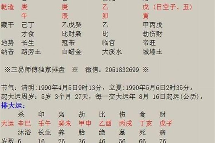 生肖鸡2024年后十年运势如何