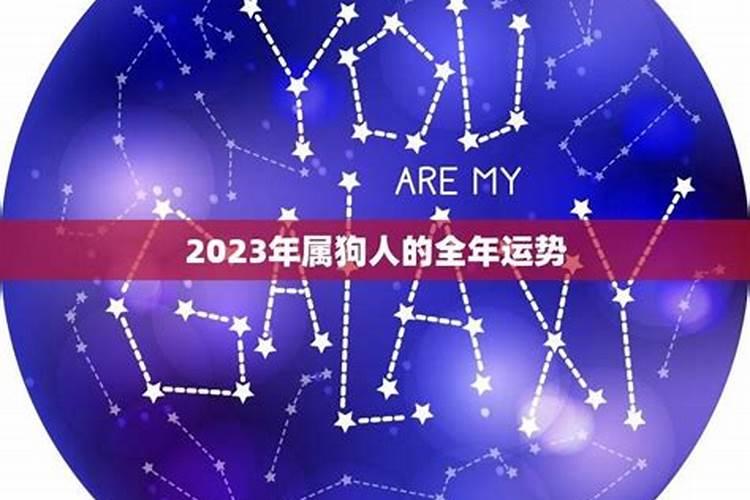 2023属狗人的全年运势详解女性婚姻