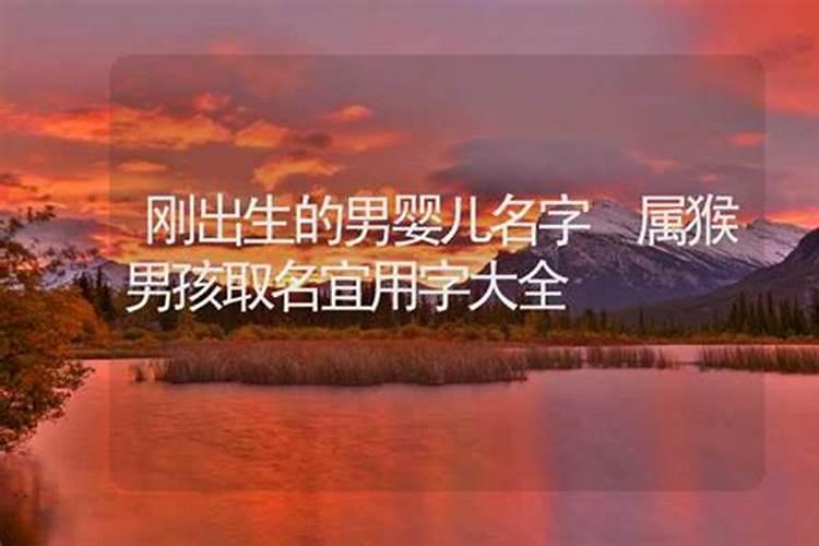 属猴的适合取什么名字