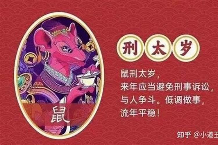 2020年2月生的孩子属什么命