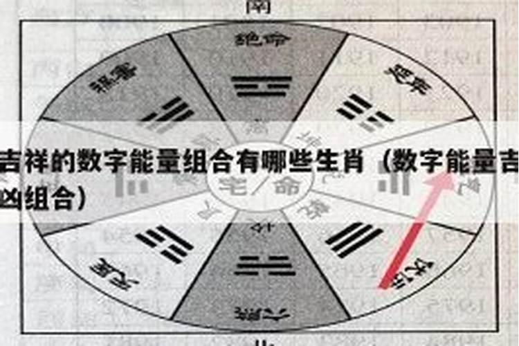 各种生肖的人吉祥数字是什么呢