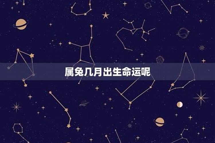 属兔的11月出生的命运怎么样