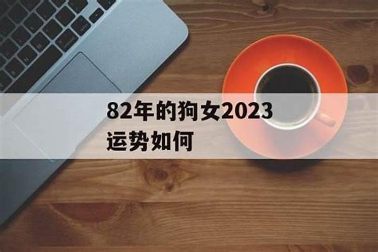 82年属狗女的2023年运势如何