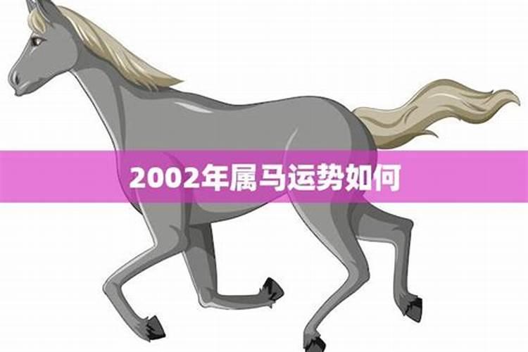 属马人2002年出生命运