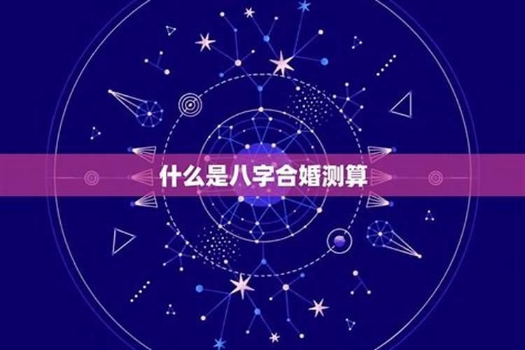 64年的龙2024年运程