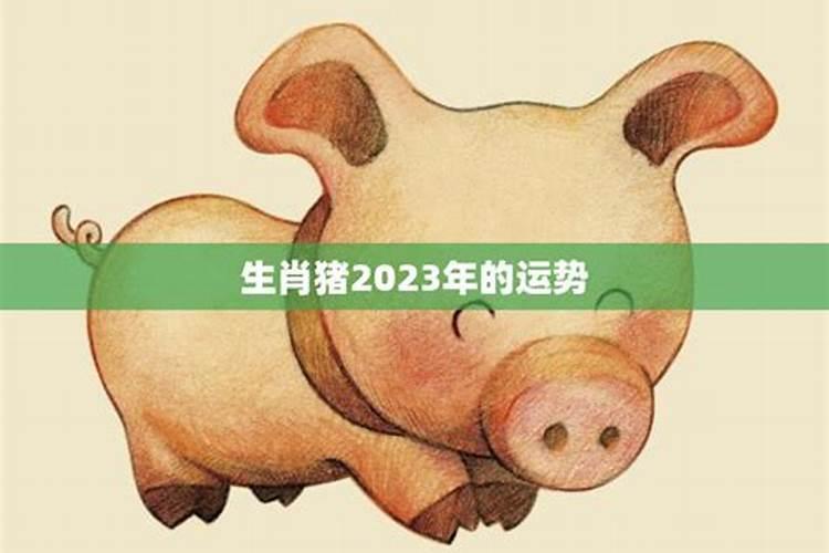 猪年在2021年的运势