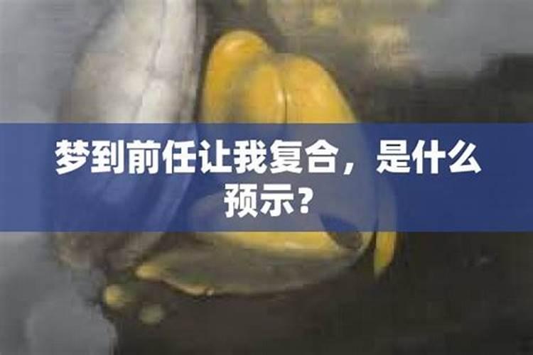 梦到前任跟我复合了