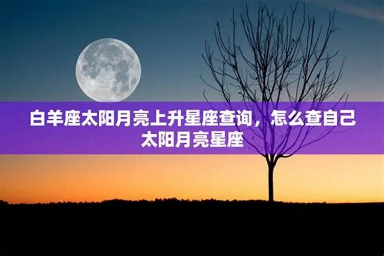 白羊座上升狮子座