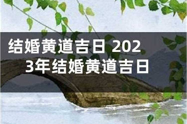 男属龙女属虎2023结婚吉日有哪些