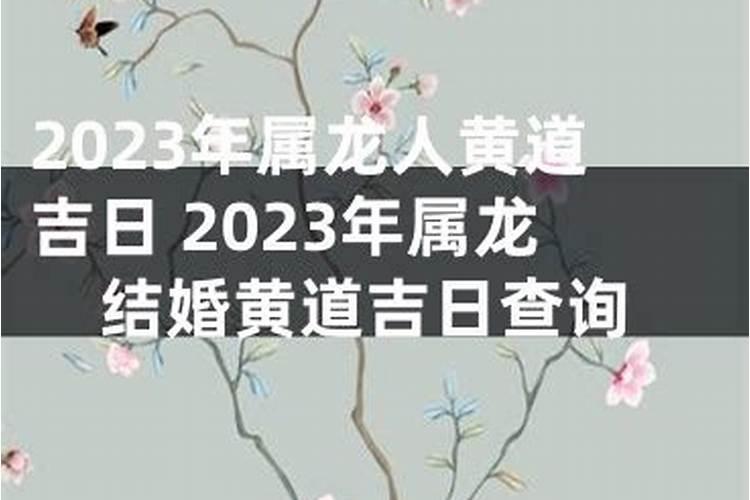 男属龙女属虎2023结婚吉日有哪些