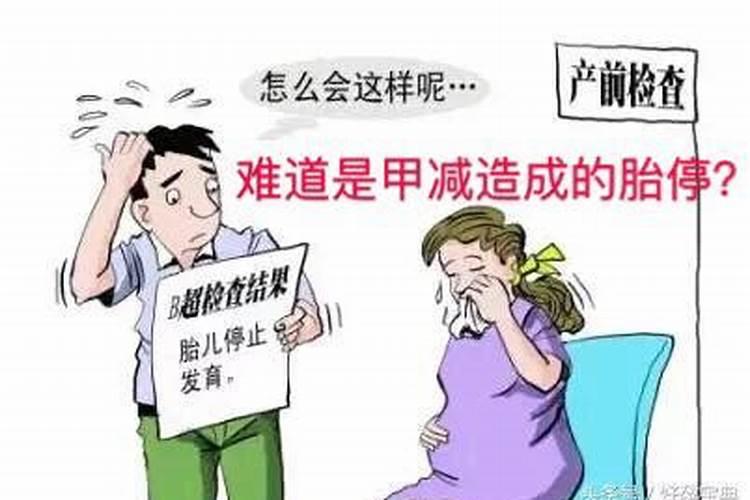 射手座会开什么车