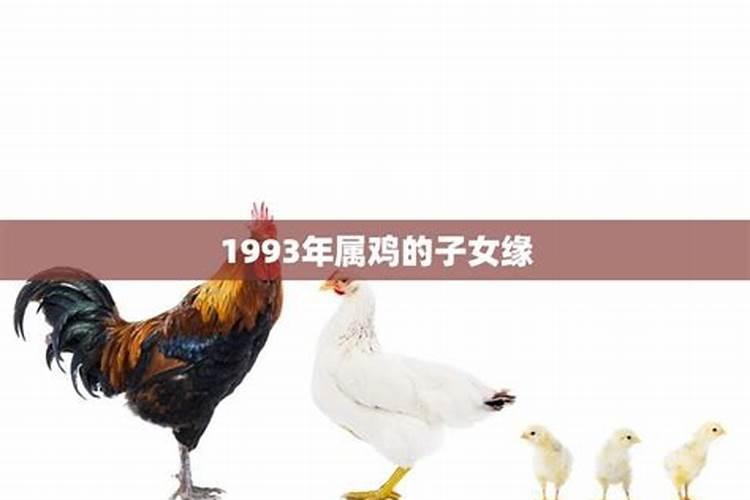 2024年属兔子的运势如何