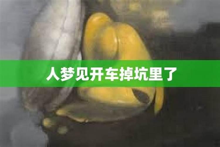 梦到开车掉坑里了人没事