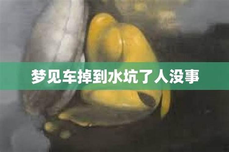 梦见哥哥掉水里被我救活什么意思