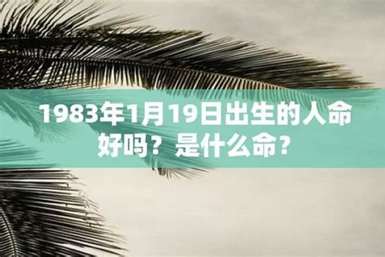 1983年1月3日出生的人五行缺什么呢