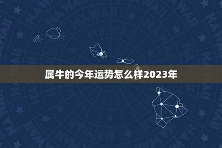 属马的牛年运势2023年运程如何