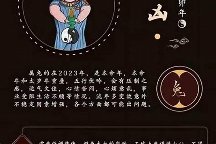 属兔2024年运程仆易居