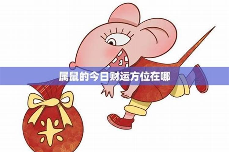 今年属鼠财运在哪个方位