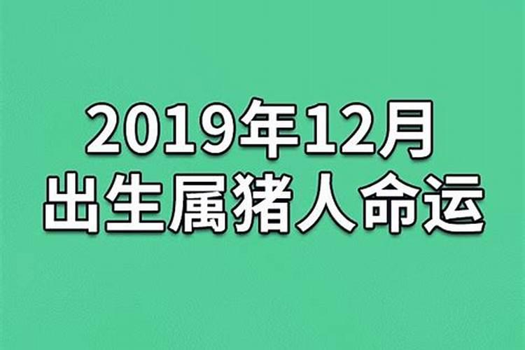 农历12月属猪的命运