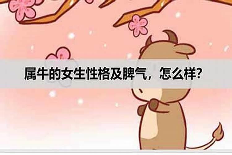 属牛的女人在感情方面怎么样