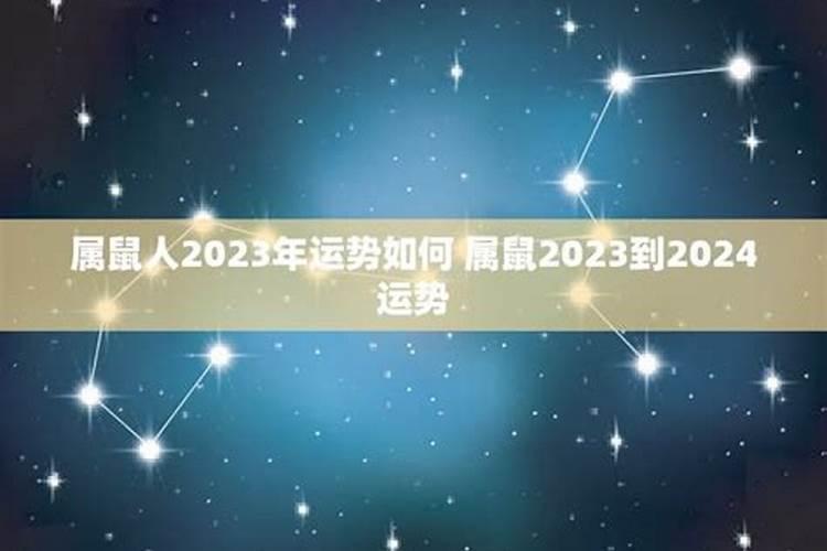 天蝎座属鼠2023年运势如何