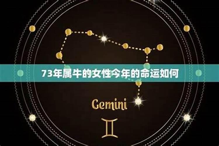 73年属牛48岁财运第一星座