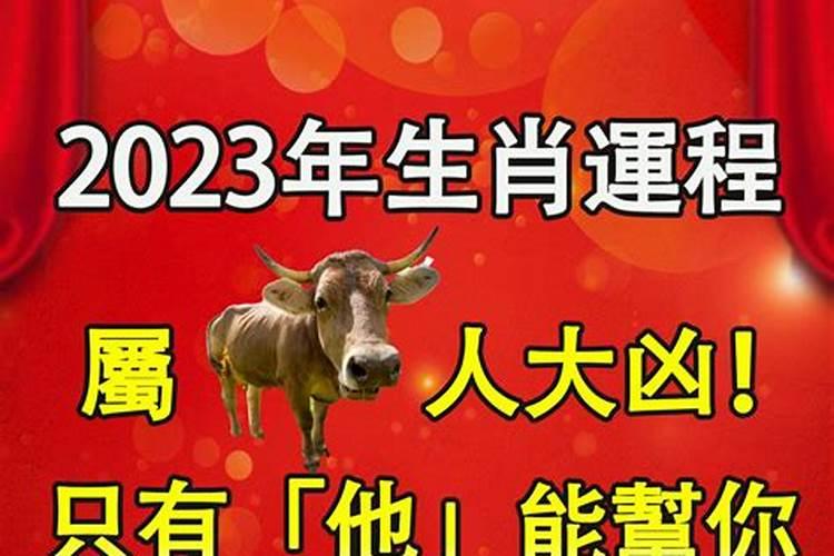 兔遇牛年2023运势如何