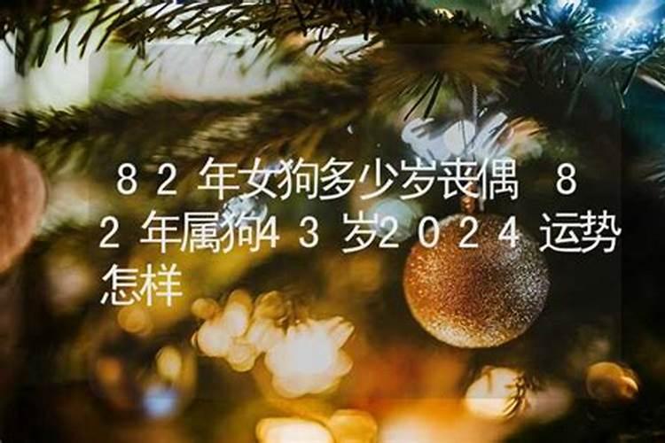 属狗的今年运程82年