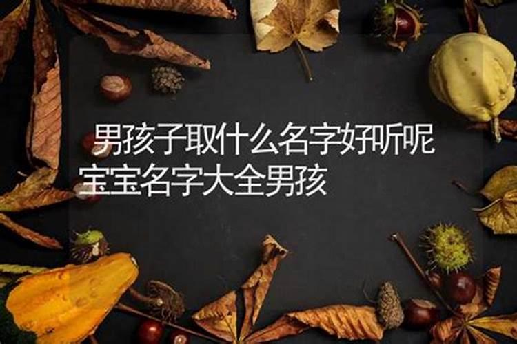 如何根据八字分析命理属性