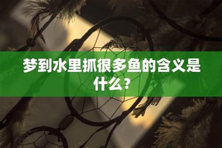 做梦梦见水中鱼什么寓意