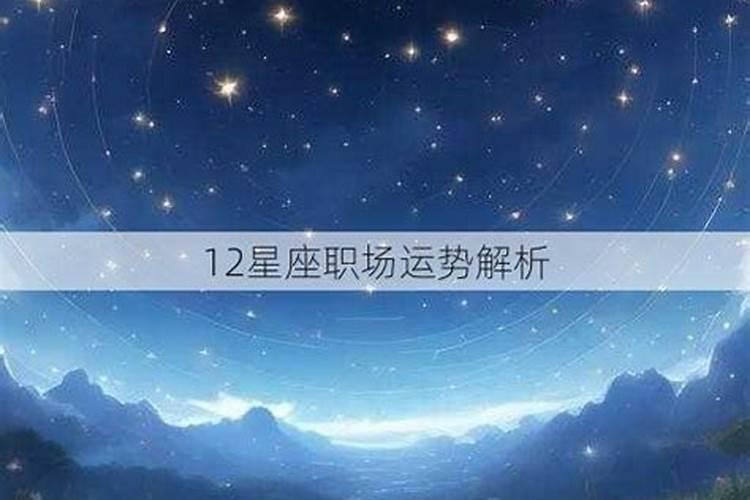 十二星座职场排名