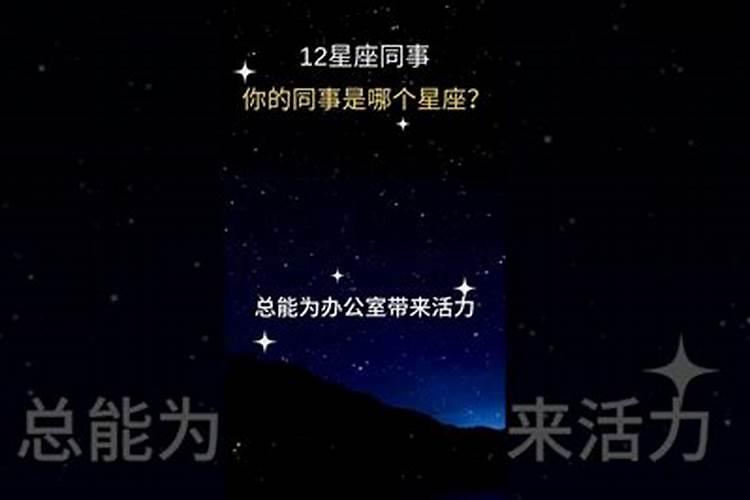 十二星座职场排名