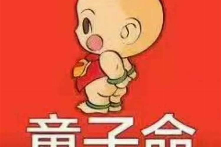 属鼠人哪一年运势好点