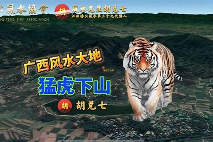 风水宝地猛虎下山图片