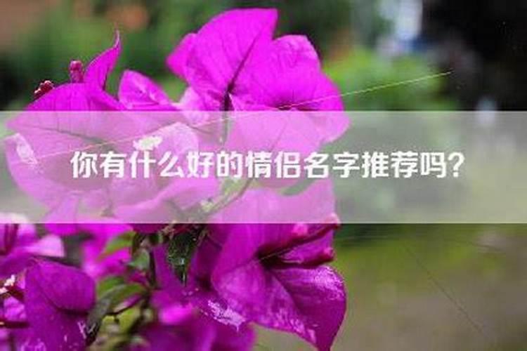 做梦梦到很多麦子是什么意思