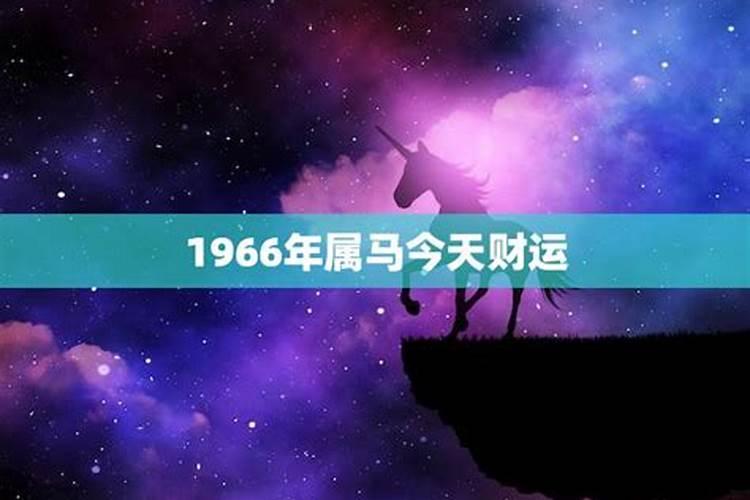 属马1966年今年财运如何