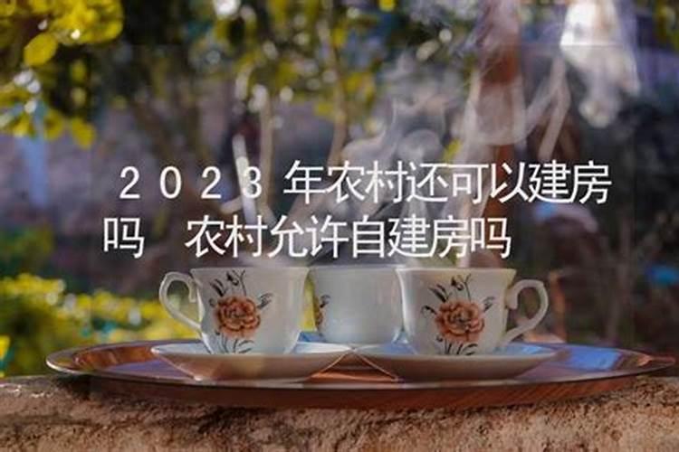 属马的2021年能建房吗