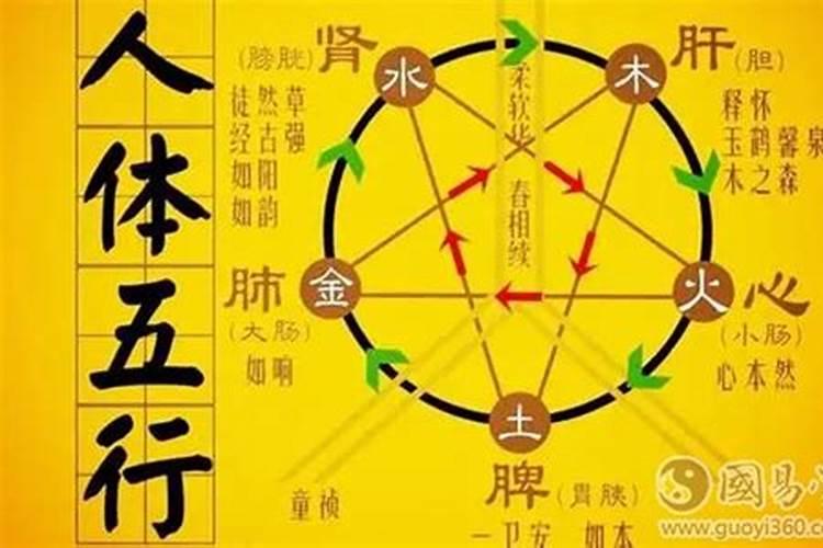 五行相克太过是啥