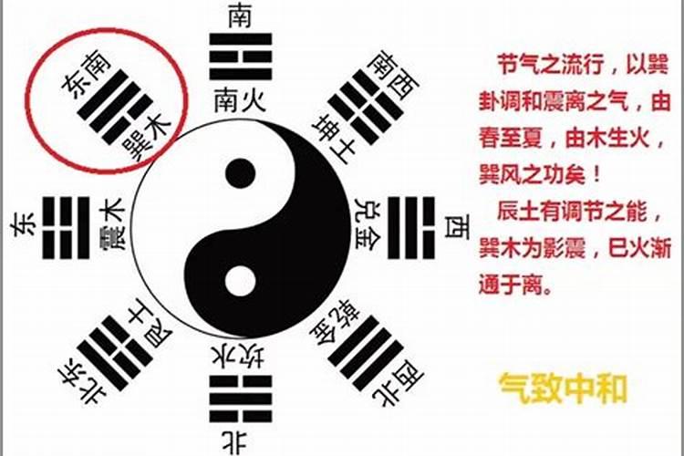 八字合婚命宫什么意思