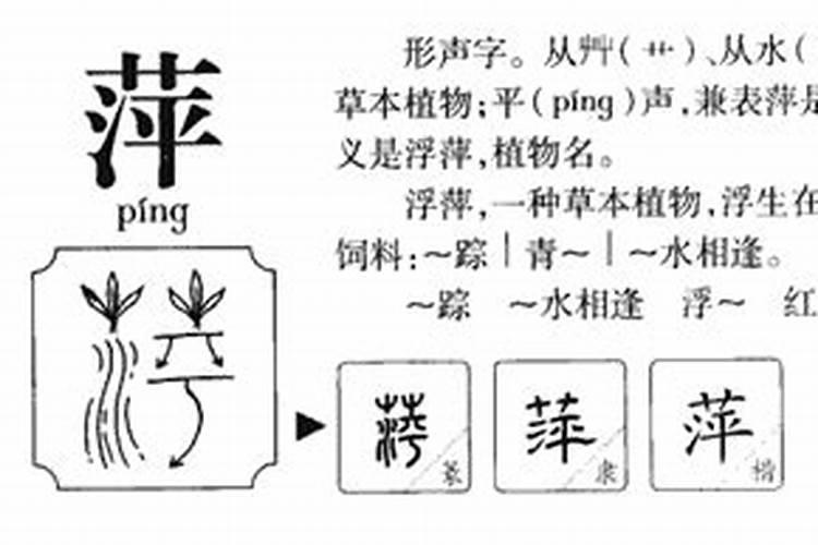 从字五行属什么意思