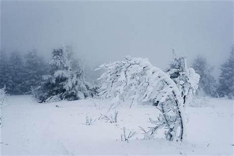 梦见大暴风雪是怎么回事