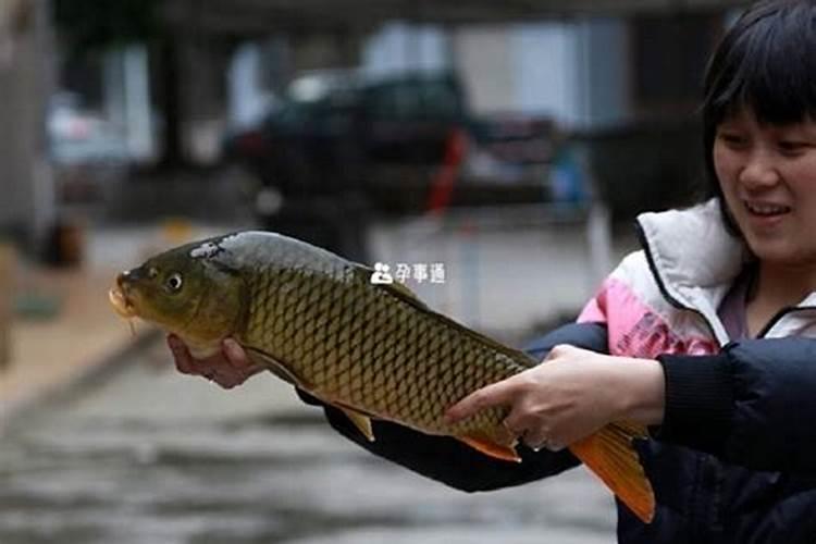 81年3月3属鸡男2024年运势如何