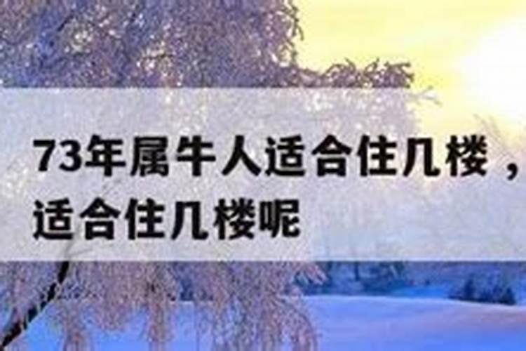 请问寒衣节是什么意思