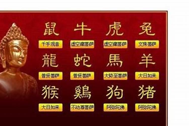 八字算命本命佛