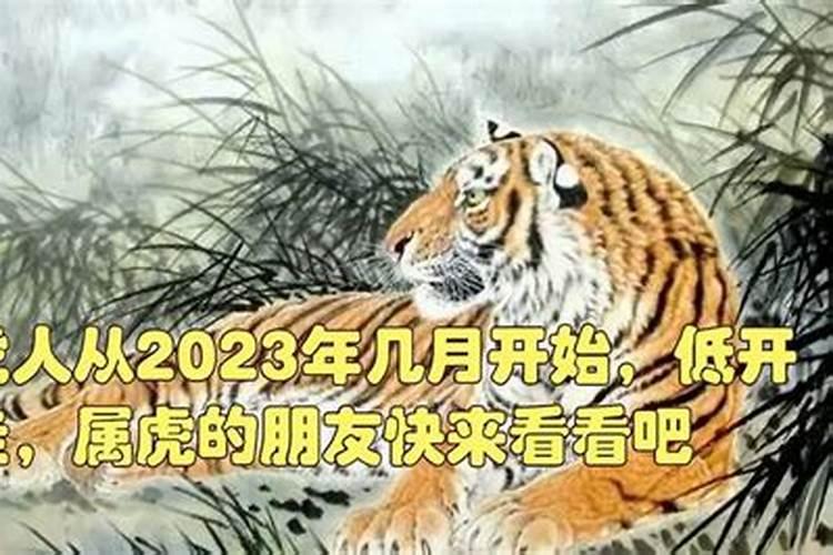 2022几月开始属虎