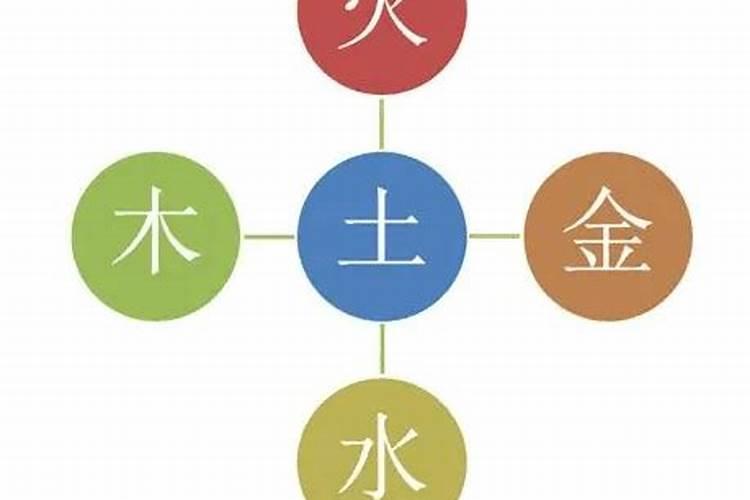 梓在五行中属性是什么