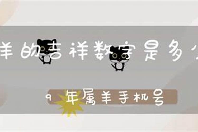 属羊人今日吉祥数字