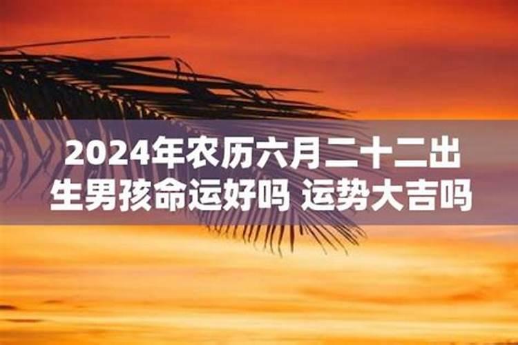 2012年农历六月出生是什么命格